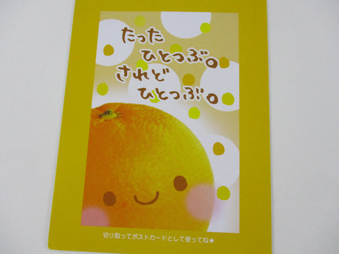 Rare ❤︎ Vintage *ੈ✩‧₊˚ Collectible - Cute Kawaii DIY Fresh Orange Smile Postcard