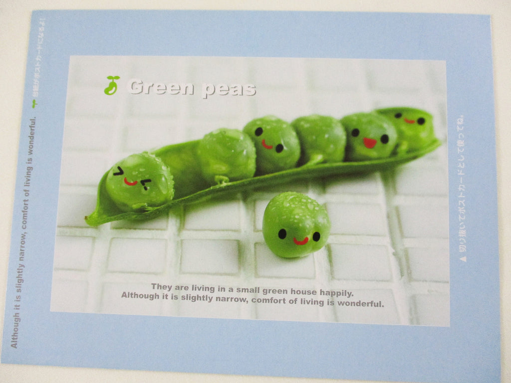 Rare ❤︎ Vintage *ੈ✩‧₊˚ Collectible - Cute Kawaii DIY Green Peas Postcard