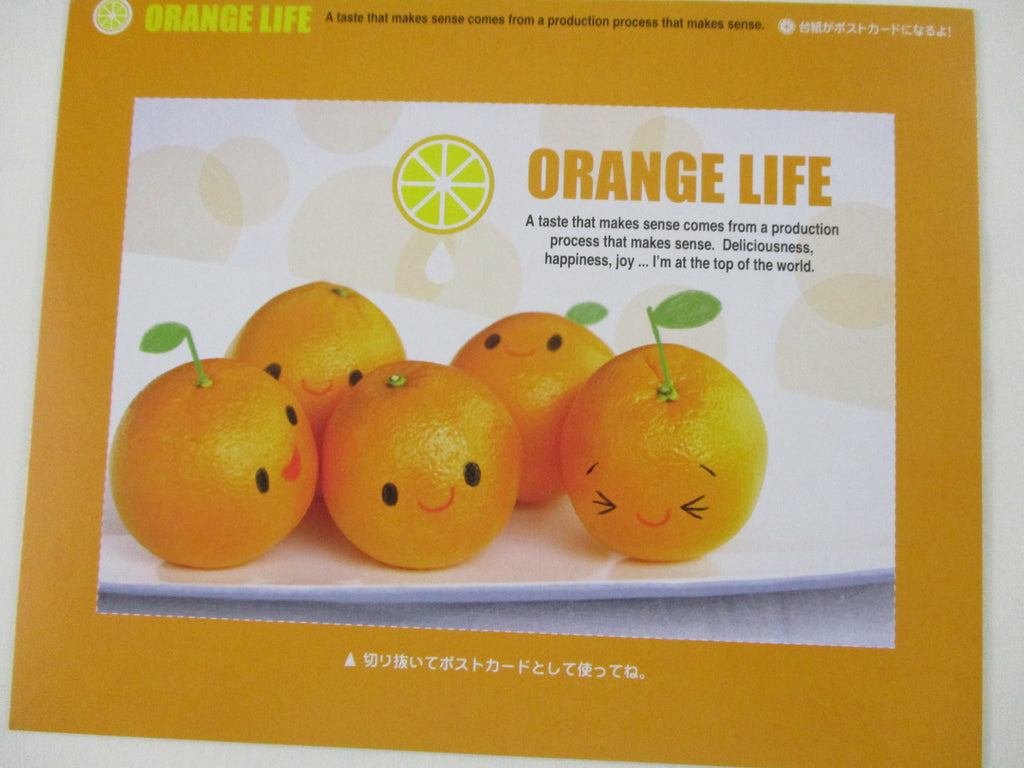 Rare ❤︎ Vintage *ੈ✩‧₊˚ Collectible - Cute Kawaii DIY Fresh Orange Life Postcard