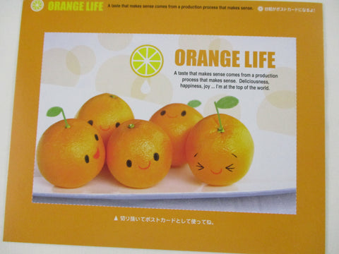 Rare ❤︎ Vintage *ੈ✩‧₊˚ Collectible - Cute Kawaii DIY Fresh Orange Life Postcard