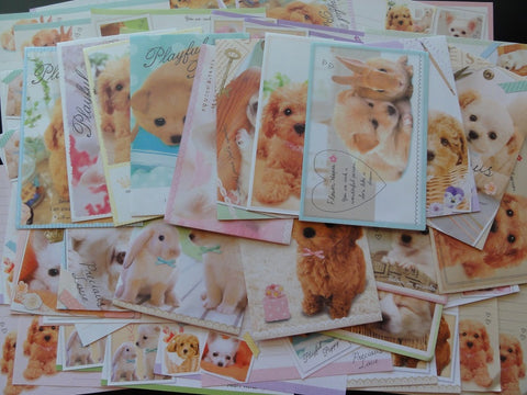 Dog / Puppies Letter Paper + Envelope Theme Set