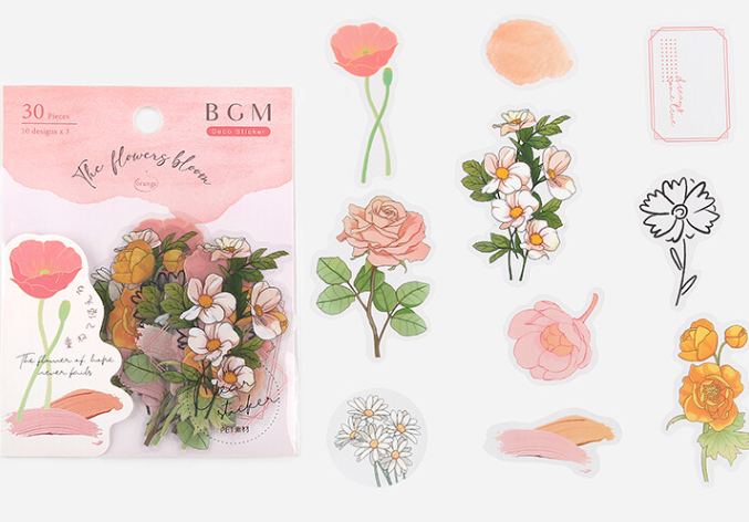 Cute Kawaii BGM Clear Flower Stickers Series Flake Stickers Sack - Ora –  Alwayz Kawaii